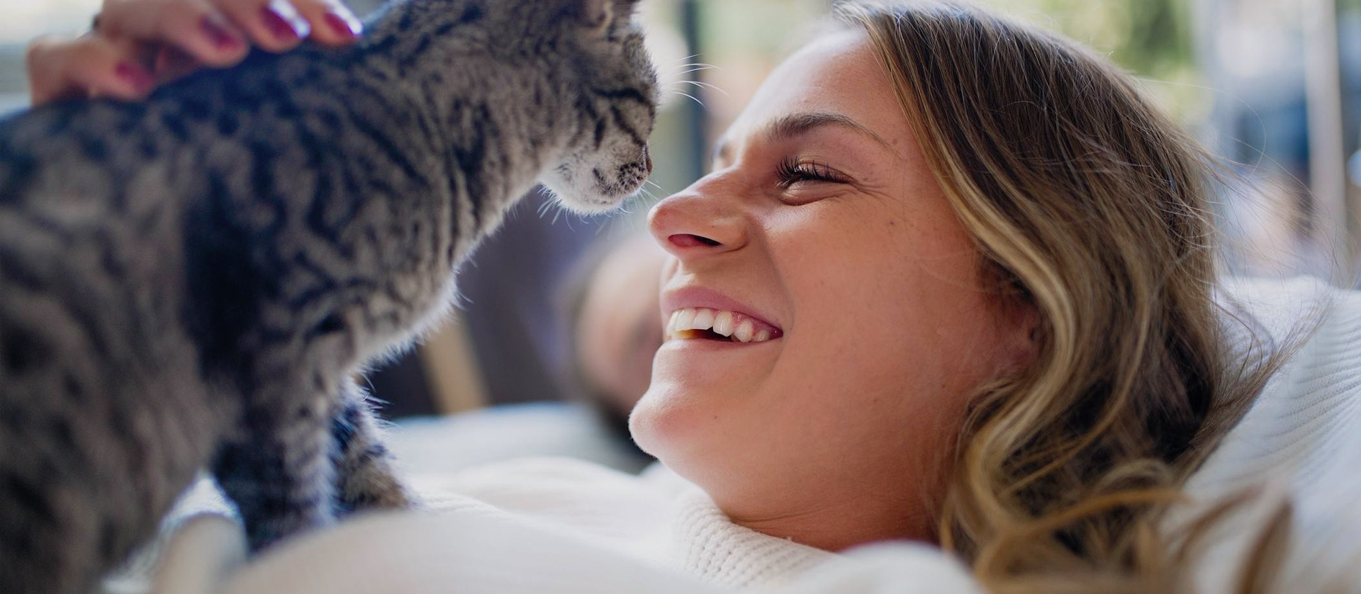Massachusetts Animal Rights Coalition